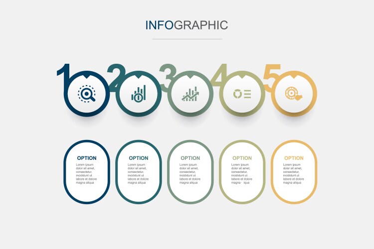 Analytics data visualization linear graph info vector image