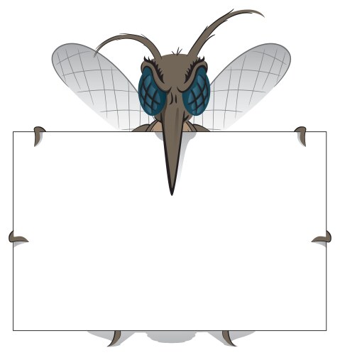 Mosquito stilt holding poster great vector image