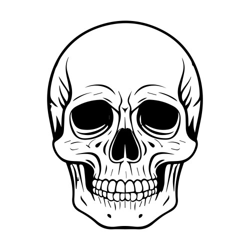 Vintage style skull Vector Image