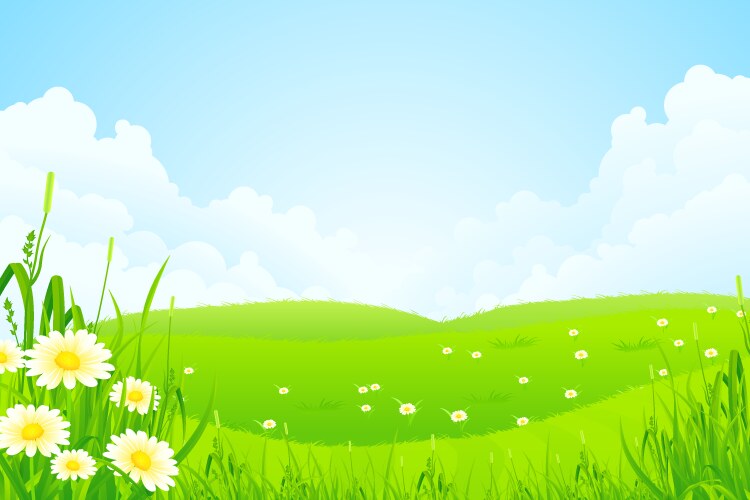 green nature landscape vector image