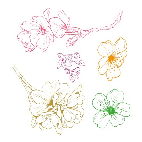 Set peony flowers isolated Royalty Free Vector Image