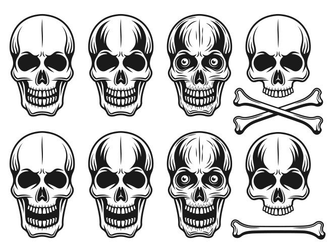 Vintage Skull Elements Set Vector Image