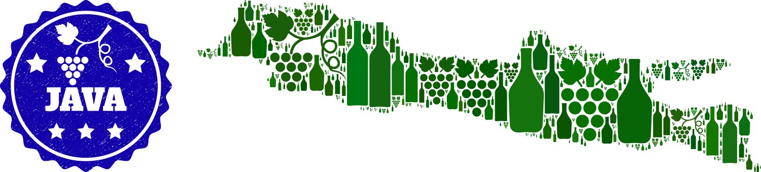 Composition of grape wine map java island vector image