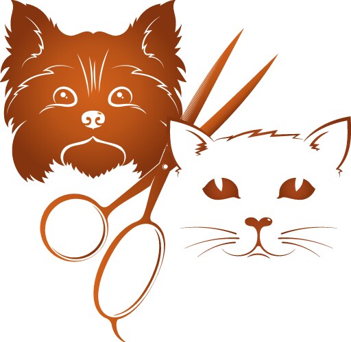 grooming dogs and cats vector image vector image