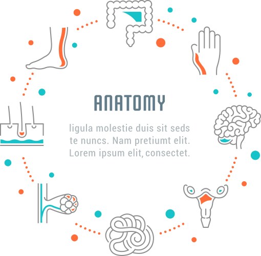 website banner and landing page anatomy vector image