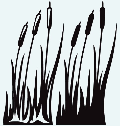 Water pump Royalty Free Vector Image - VectorStock