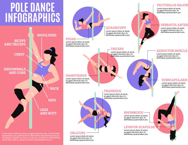 pole dance infographics vector image