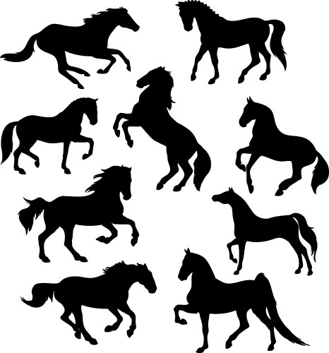 Horse Silhouettes - Dynamic Poses Vector Image