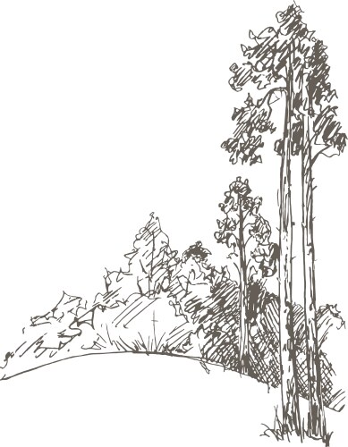 Set of different landscapes with pine trees Vector Image