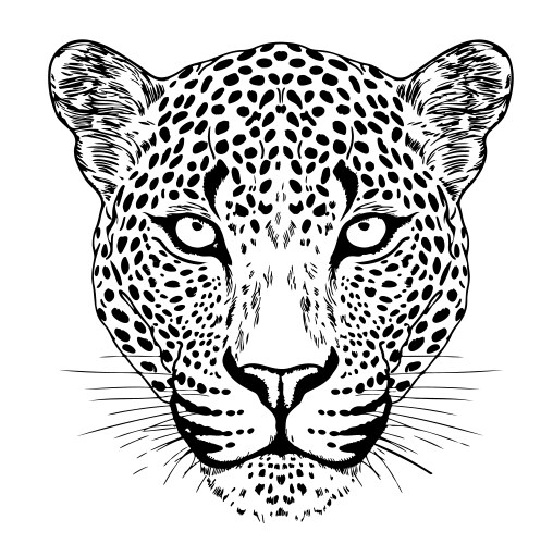 leopard face hand drawn sketch vector image