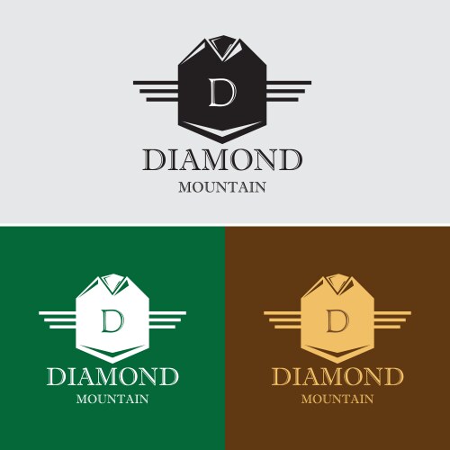 Diamond mountain logo template Vector Image