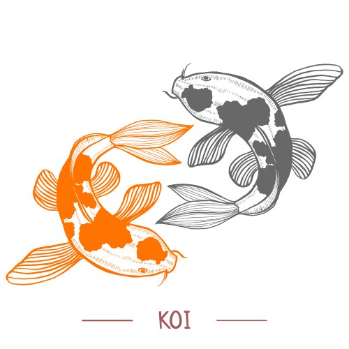 Koi Fish - Hand Drawn Style Vector Image