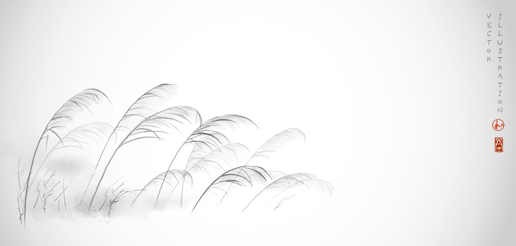 Leaves grass hand drawn with ink on white vector image