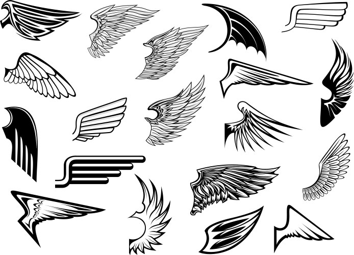 Vintage Heraldic Wing Set Vector Image