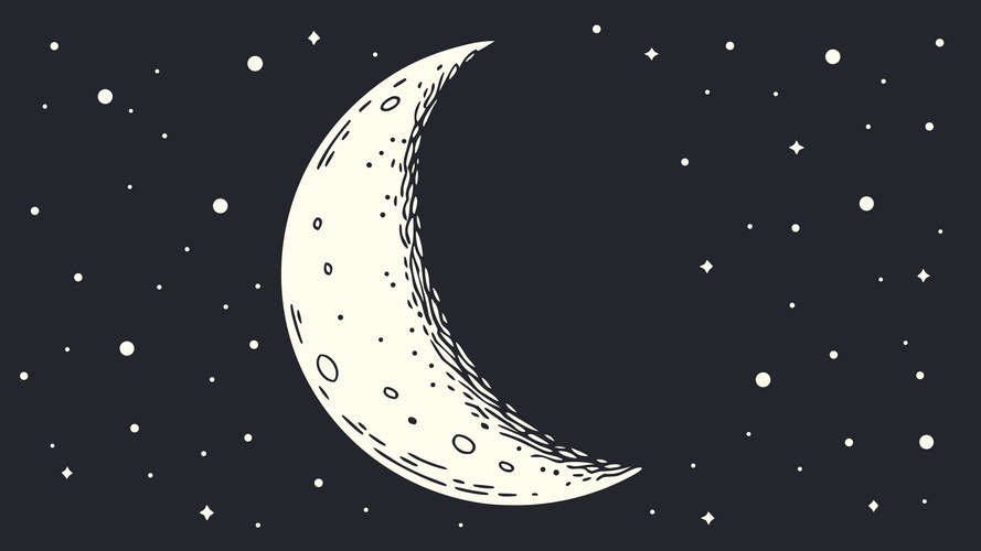Realistic Crescent Moon Sketch Vector Image