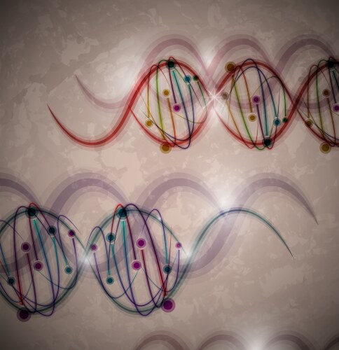 Dna strand molecule Royalty Free Vector Image - VectorStock