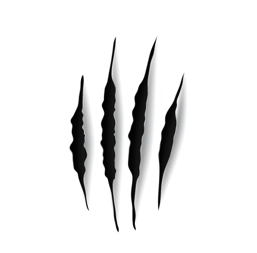 Eagle claw marks scratches predator bird nails Vector Image
