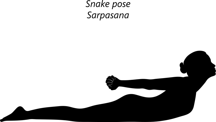 Snake Pose Vector Images (over 390)
