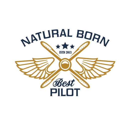 Airplane pilots crew icon plane propeller wings vector image