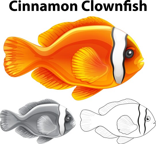 Cinnamon Clownfish Sketch Vector Image