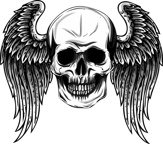 Human skull with wings for tattoo design Vector Image