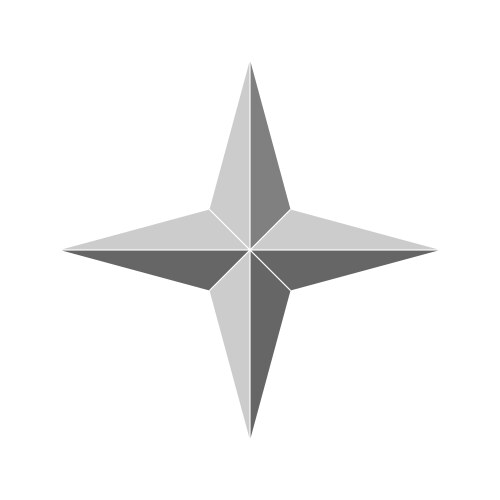 Four Point Star Vector Images (over 500)