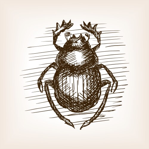 Hand Drawn Scarab Beetle Sketch Vector Image