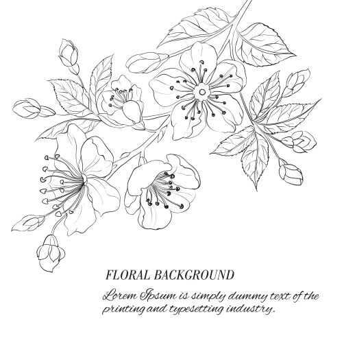 Sakura Blossom Spring Vector Image