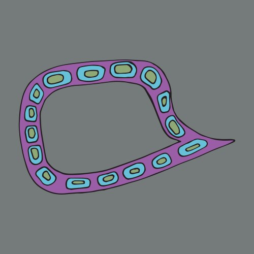 Frames for text with patterns vector image