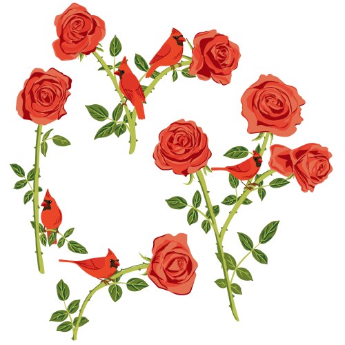 Drawing flowers of roses and birds Vector Image