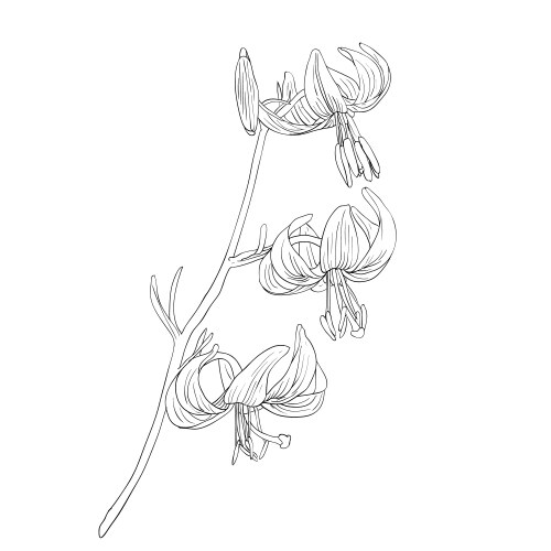 Hand drawn floral m monogram and logo Royalty Free Vector