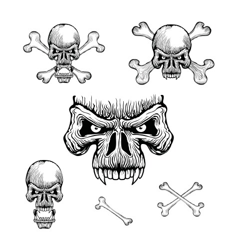 Crossbone Skull Vector Image