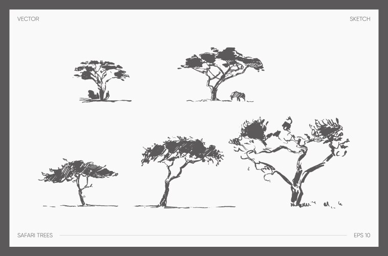 set detail hand drawn safari tree acacia vector image