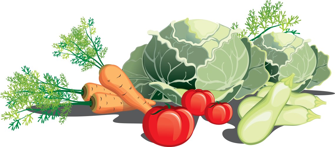 Healthy fresh produce vegetables Royalty Free Vector Image