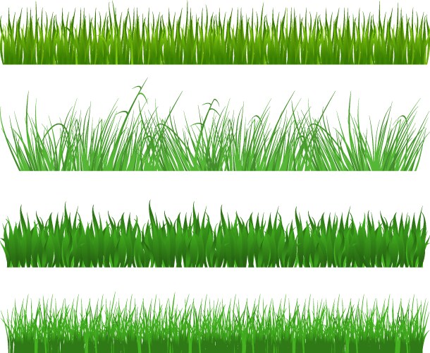 Green grass set isolated white background Vector Image