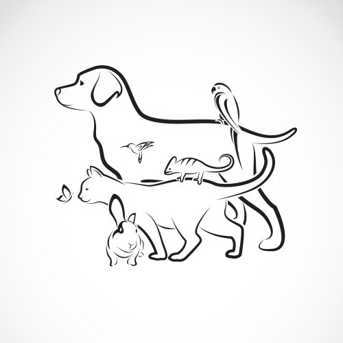 Adorable Pet Group - Dog, Cat, Parrot, Rabbit Vector Image