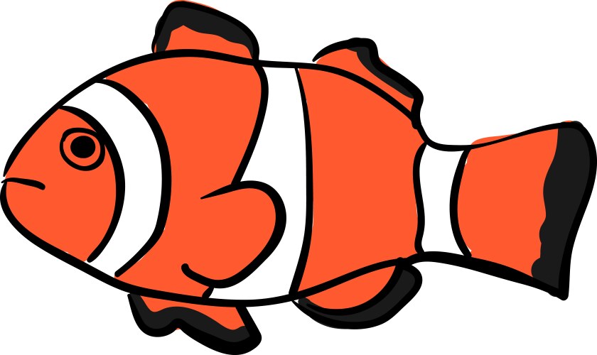 Clownfish on white background Vector Image