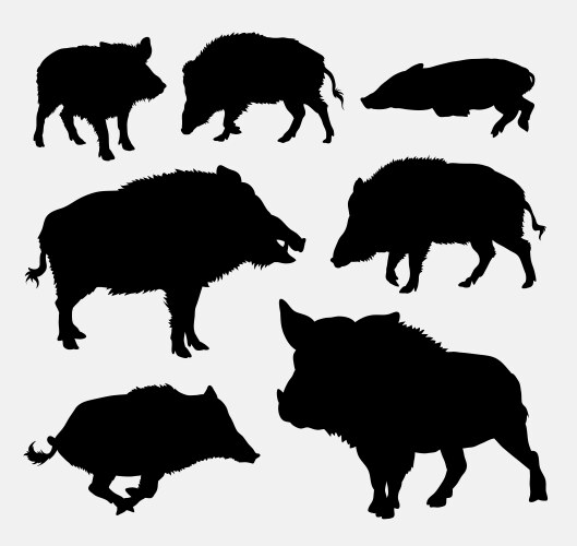 Wild Boar Silhouette - Animal Icon Vector Image