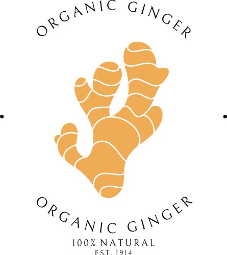 Ginger Root Logo Template Vector Image