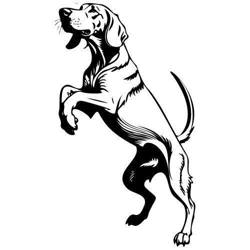 Bloodhound jump silhouette of hand drawn animal Vector Image