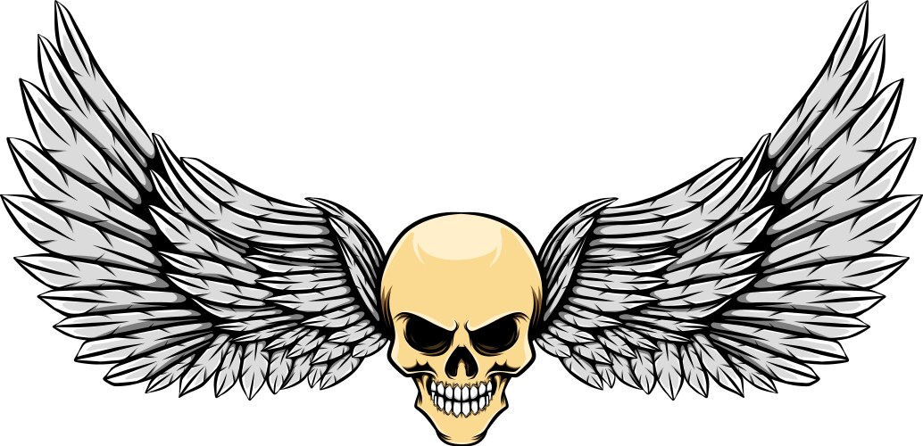 Glossy Skull with Wings Vector Image