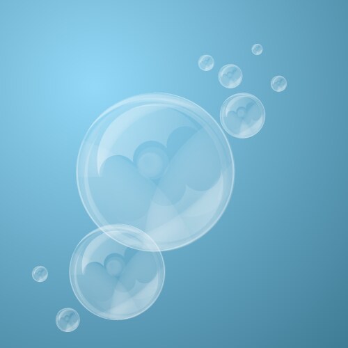 Transparent soap bubbles vector image