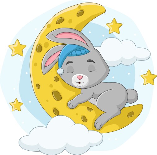 Cartoon baby rabbit sleeping on moon vector image