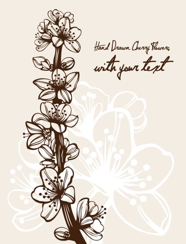Hand drawn cherry blossom tree Royalty Free Vector Image