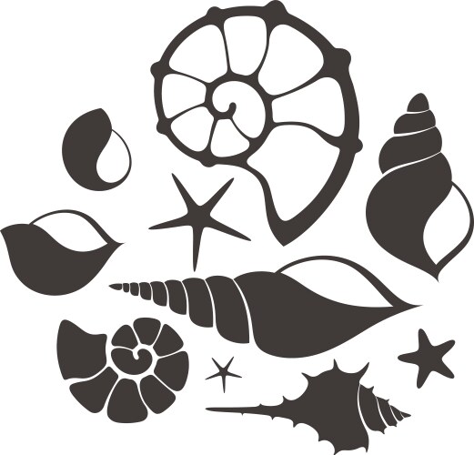 Shell Suit Vector Shell set Royalty Free Vector Image - VectorStock
