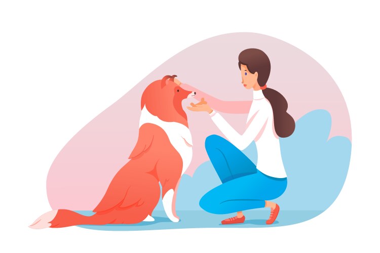 Woman trainer treat dog with sweet biscuit bone Vector Image