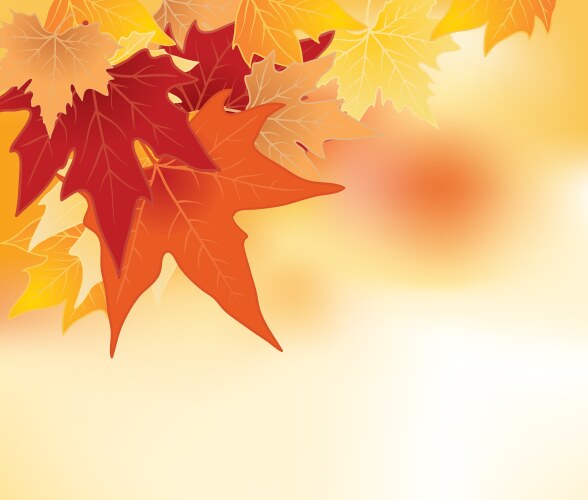 Autumn leaves background Royalty Free Vector Image