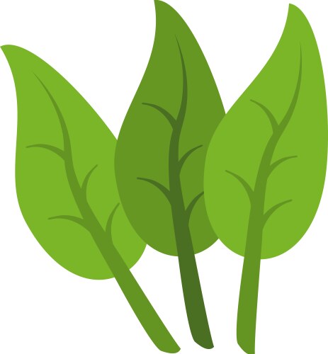Spinach leaves icon cartoon style Royalty Free Vector Image