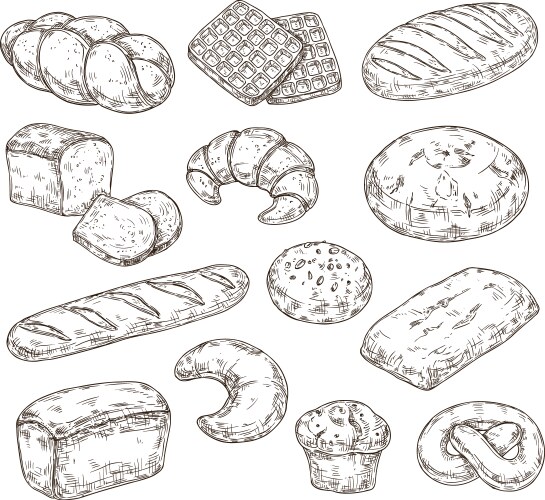 Sketch pastry breakfast caramel waffle Vector Image