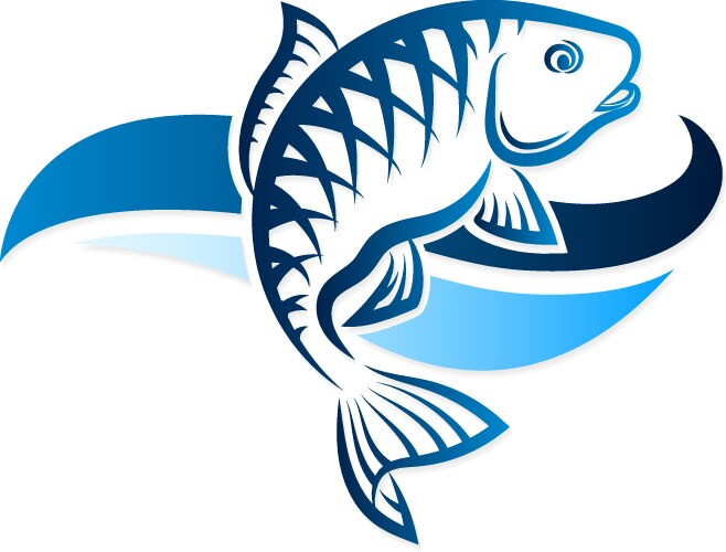 fish vector image